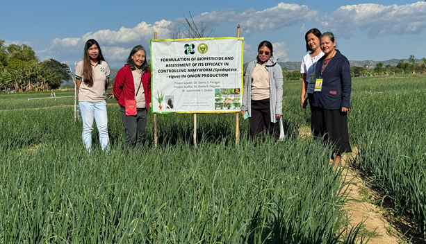 Project Leader Danila S. Paragas at a demo farm in Nueva Ecija