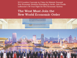 The Crossroads: Why the West Must Join the New World Economic Order