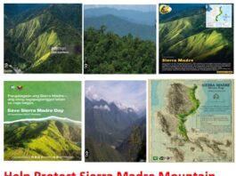 Engineer Calls for Protection of Sierra Madre, the Country’s Vital “Shield”